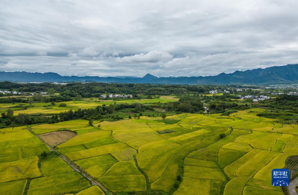 博越娱乐平台登录地址